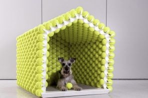 10 Best Dog Products to Keep Your Furry Friend Happy & Comfy